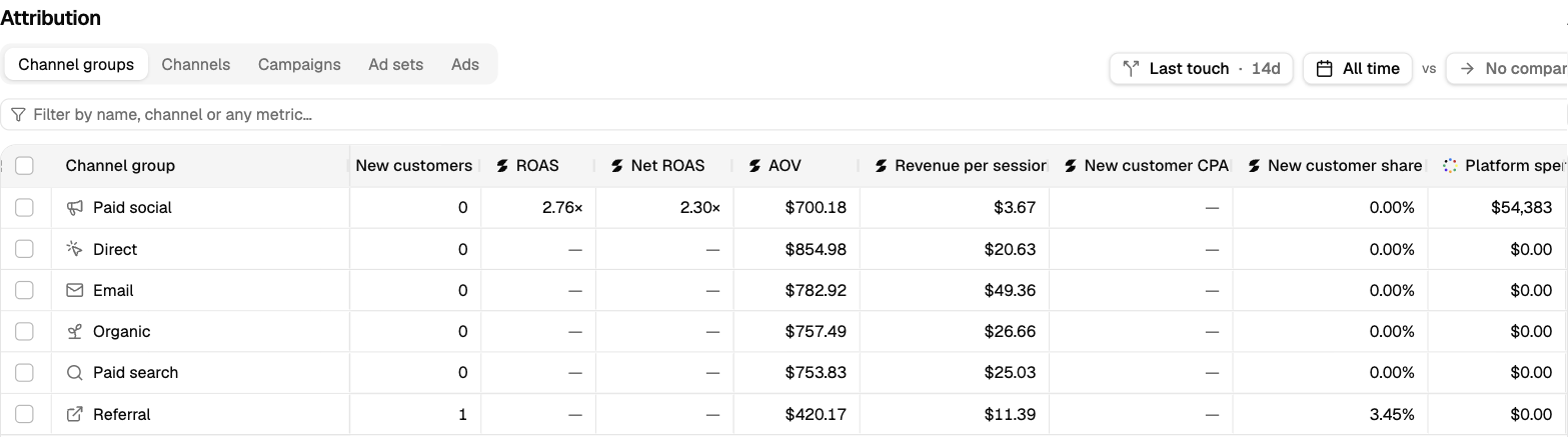 Soran's attribution report showing ROAS by channel group
